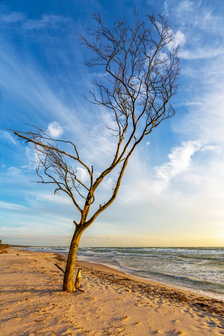 Der Weststrand