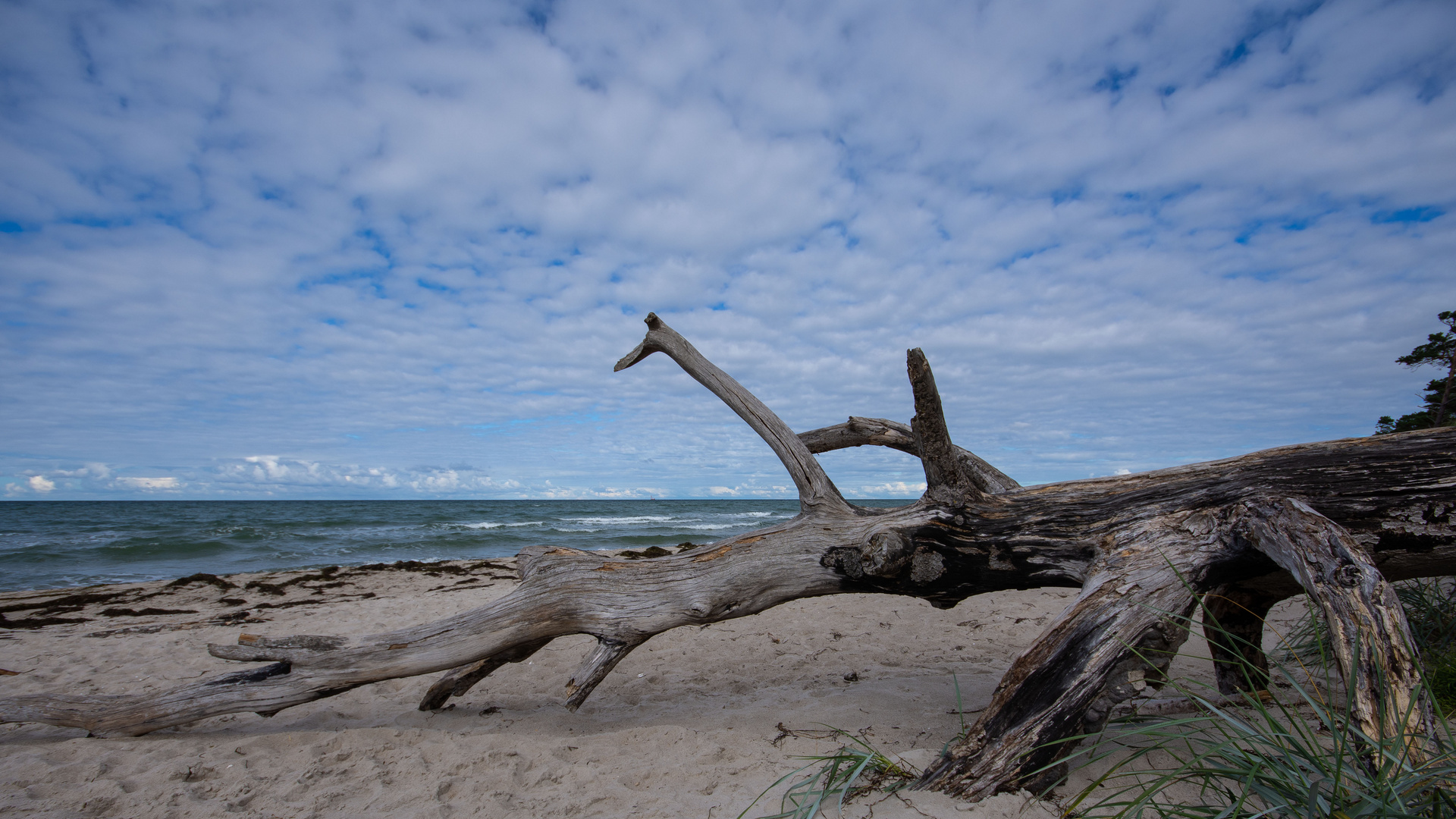 Der Weststrand°