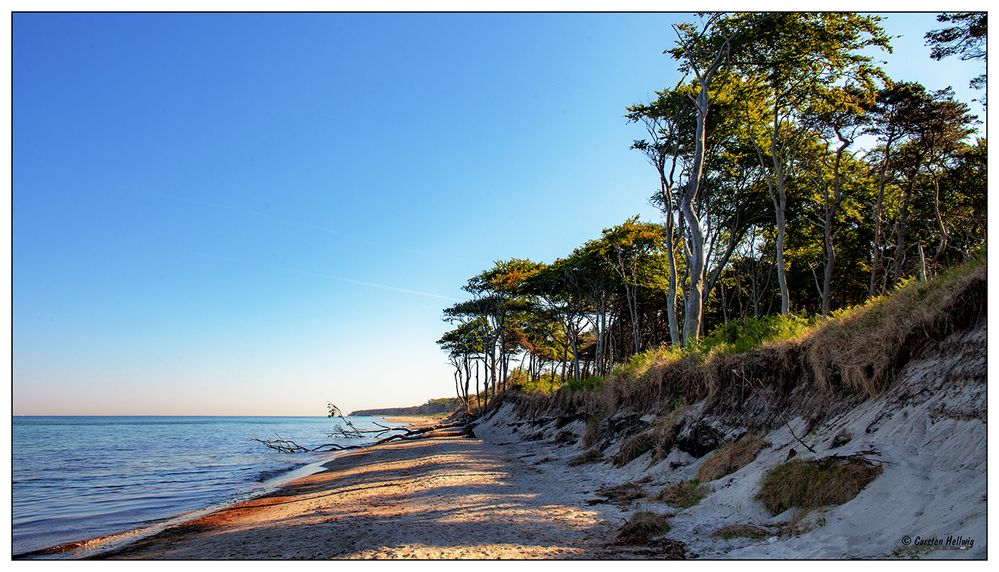 Der Weststrand bei Ahrenshoop/Darß 