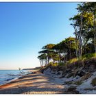 Der Weststrand bei Ahrenshoop/Darß 