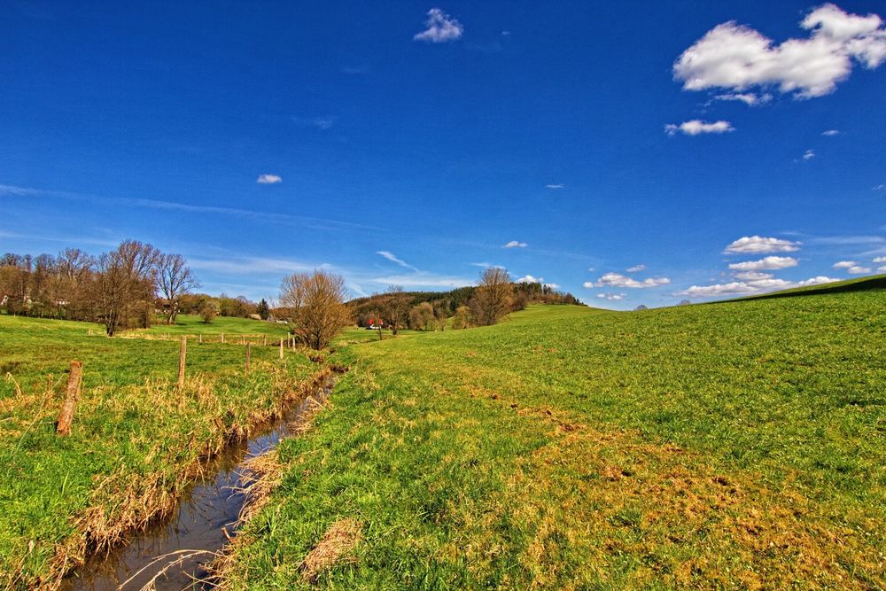 Der Wetterbach