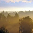 Der Wetterbericht aus Svealand heute