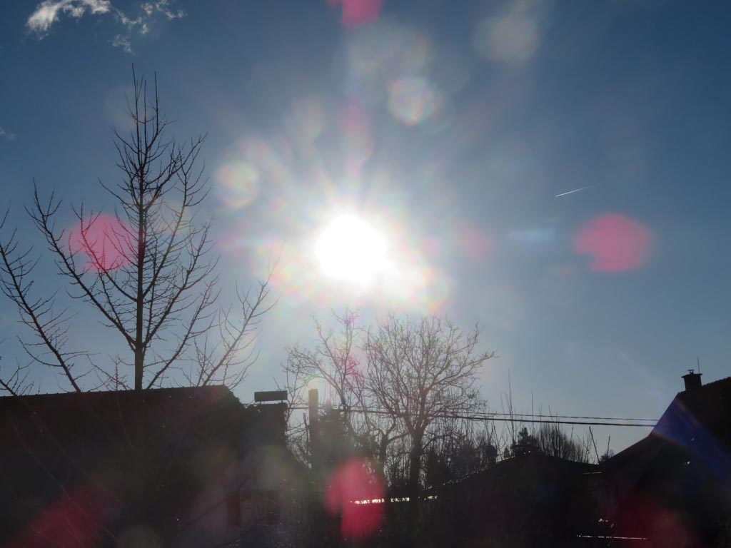 der Wetterbericht behauptet 1 