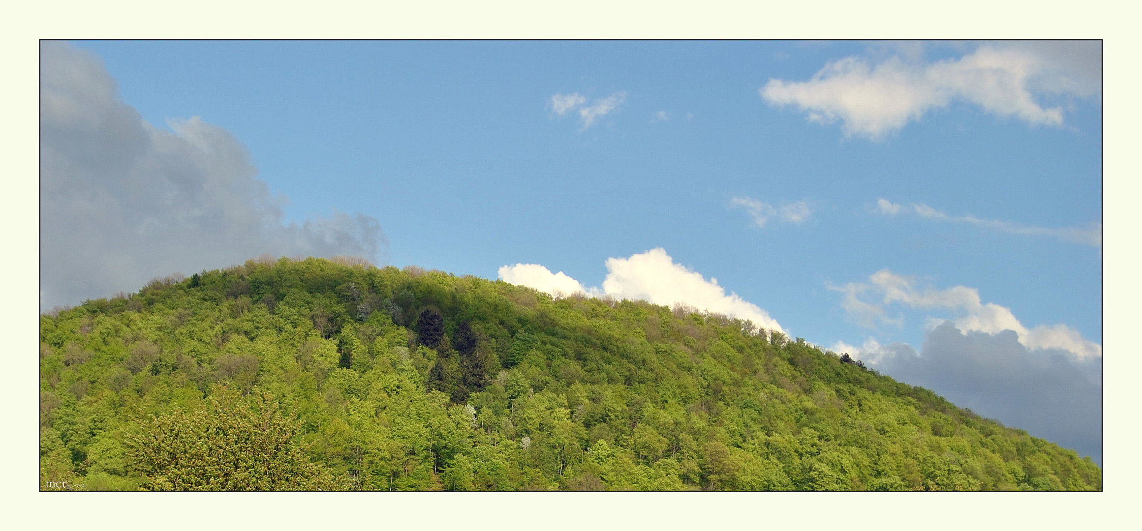 Der Wetterbericht hatte recht!