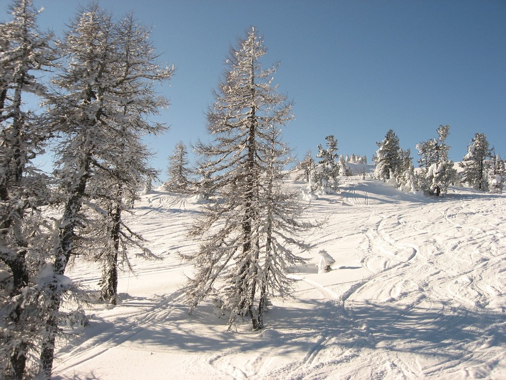 Der Wetterbericht vom 28.12.08