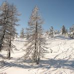 Der Wetterbericht vom 28.12.08