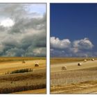 Der Wetterbericht von gestern und heute