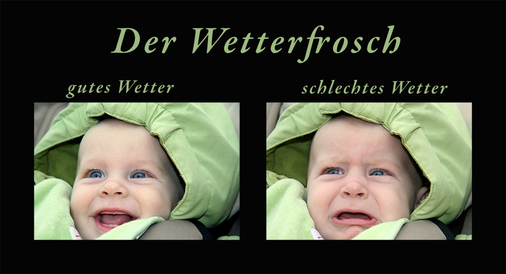 Der Wetterfrosch