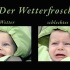 Der Wetterfrosch