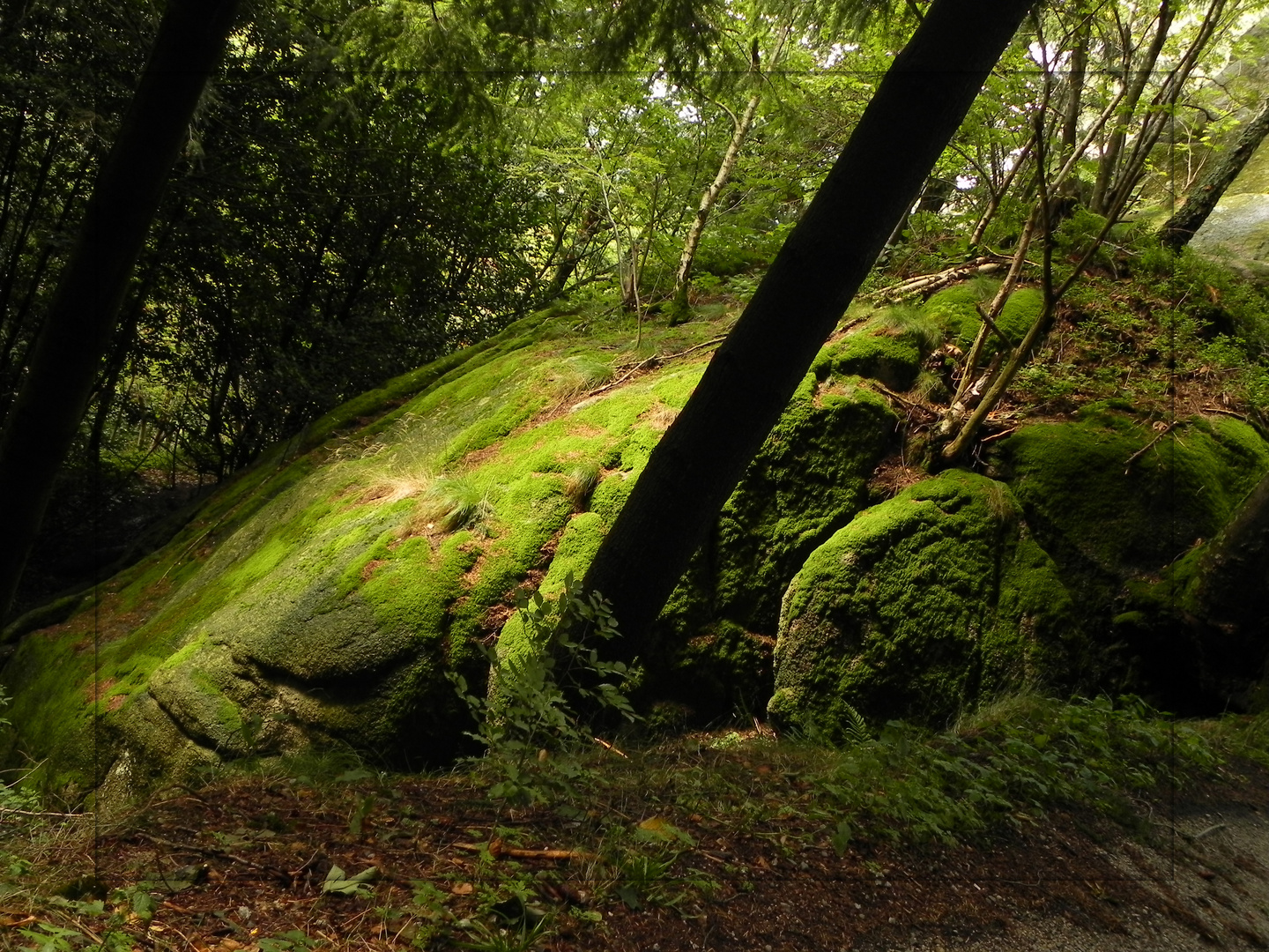 Der Wiedenfelsen