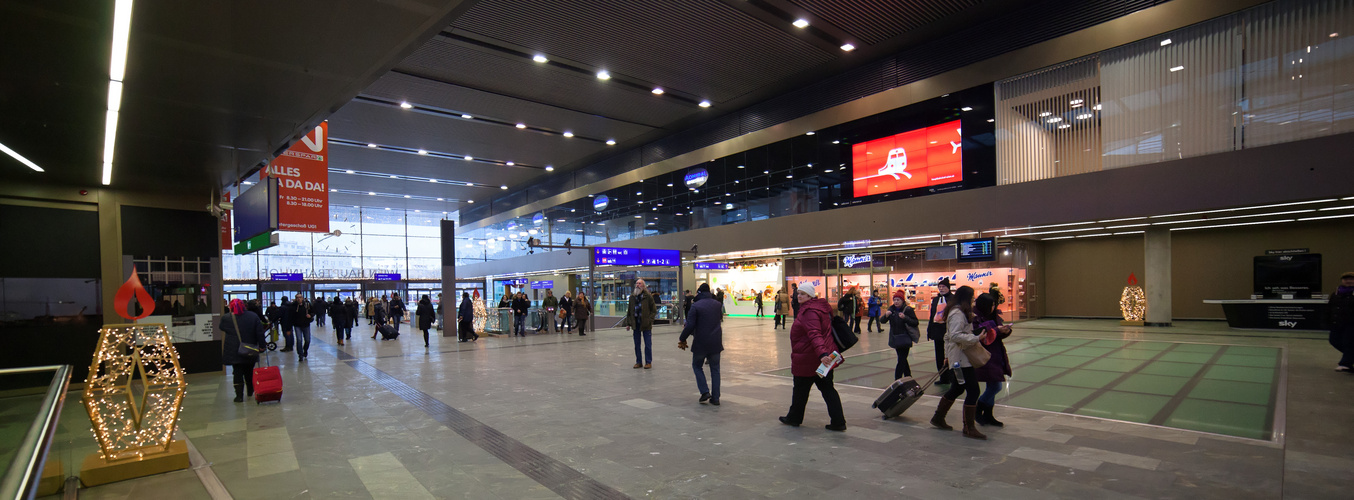 Der Wiener Hauptbahnhof -5