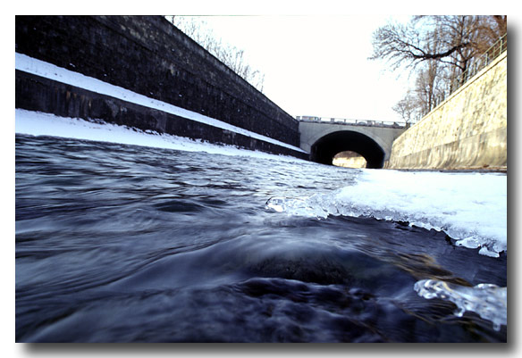 Der Wienfluss aus der Nähe