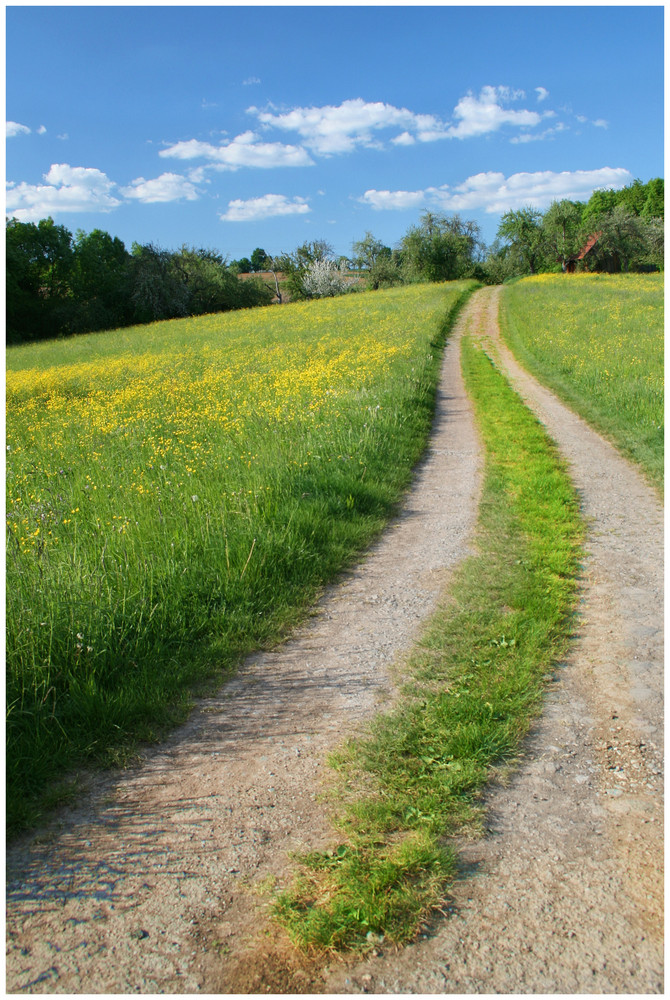 Der Wiesenweg