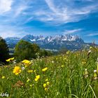 Der wilde Kaiser - Kitzbühel