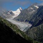 Der wilde, lange Gletscher