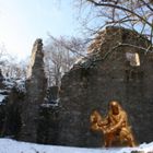 Der wilde Rodensteiner im Odenwald