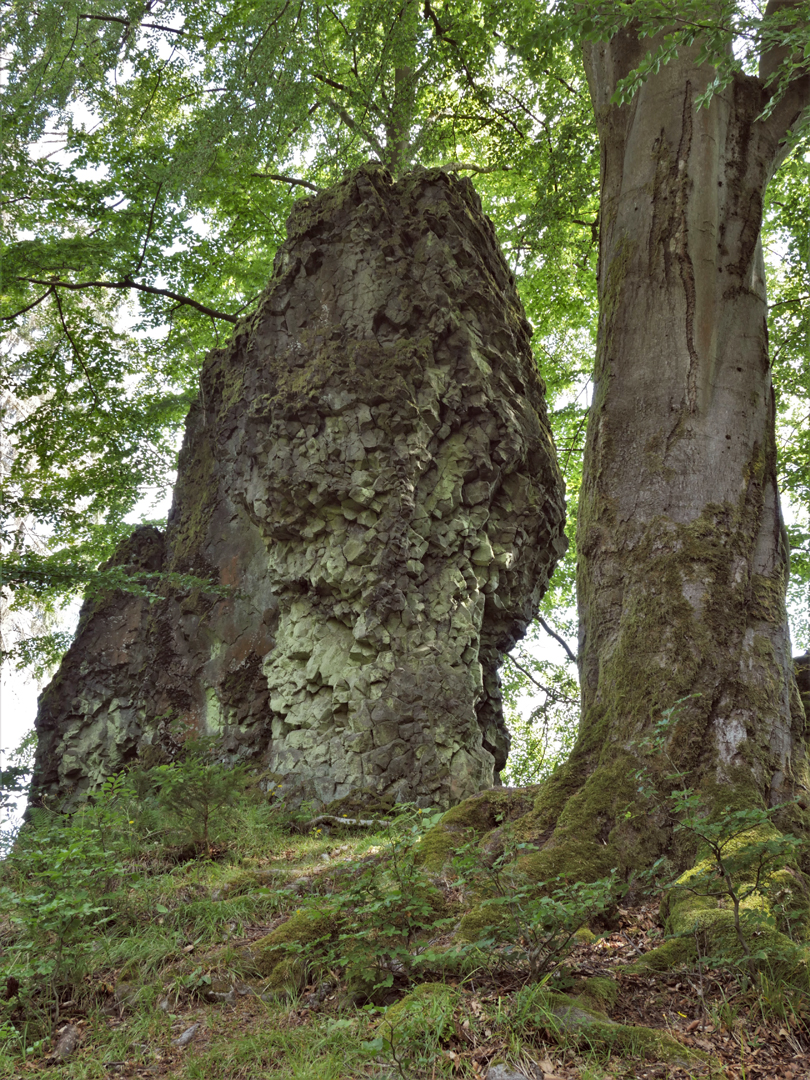 Der Wilde Stein, Gehau