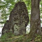 Der Wilde Stein, Gehau