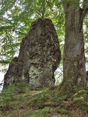 Der Wilde Stein, Gehau