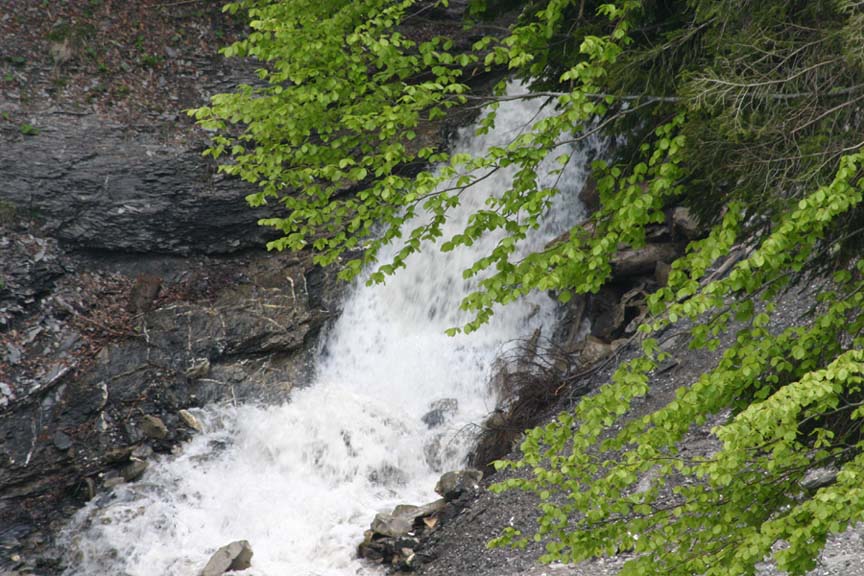 Der wilde Trübbach, weit oben im steilen Gelände