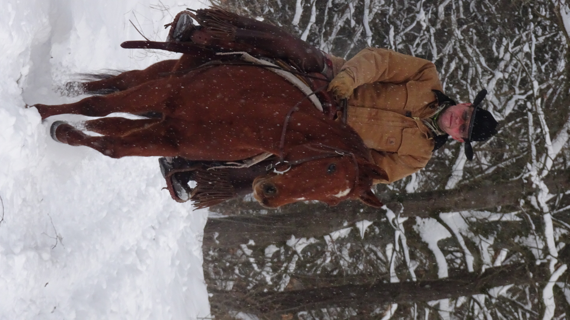 der wilde Westen im Th Wald