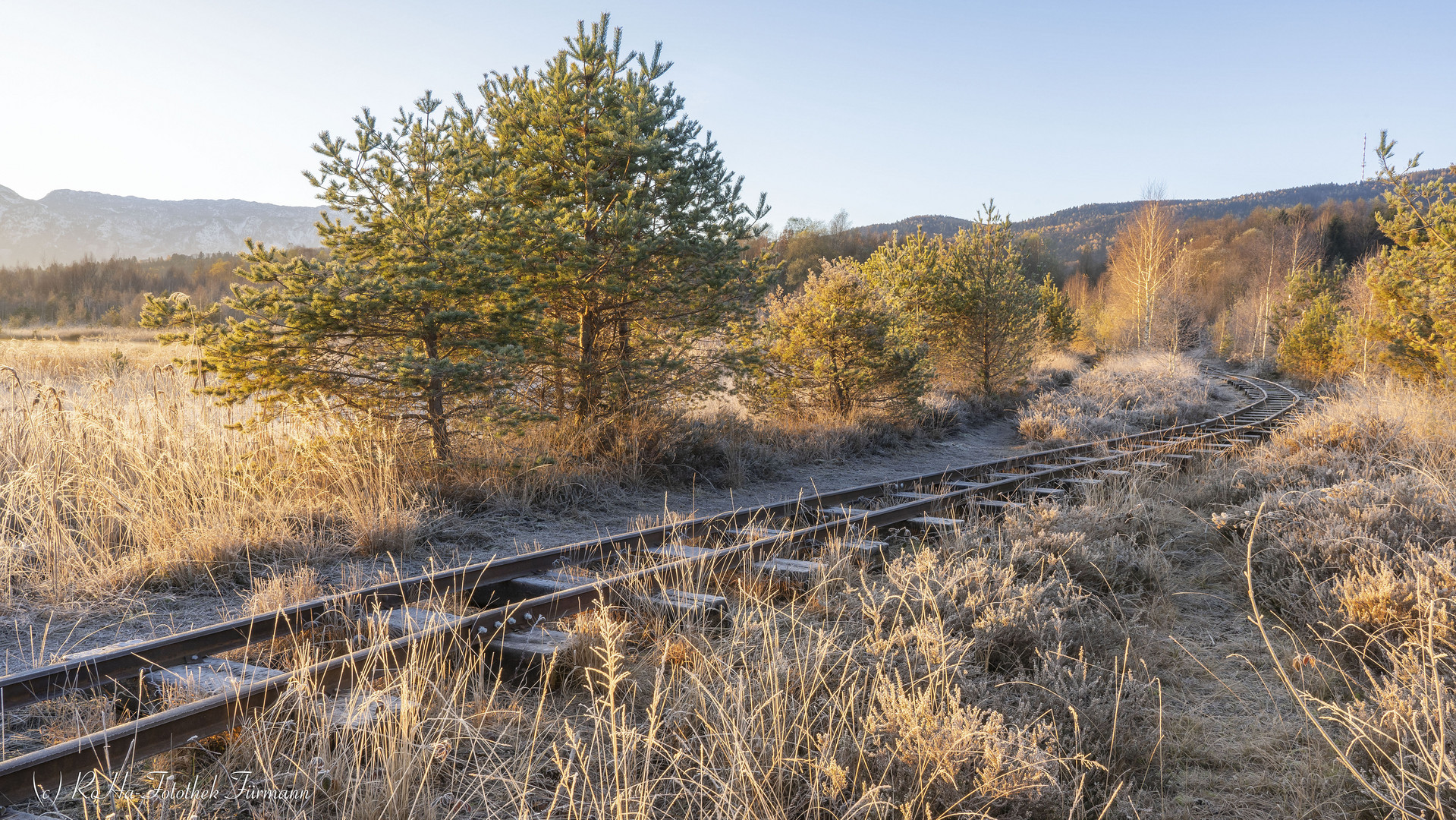 der "Wilde Westen" oder das Ainringer Moor?