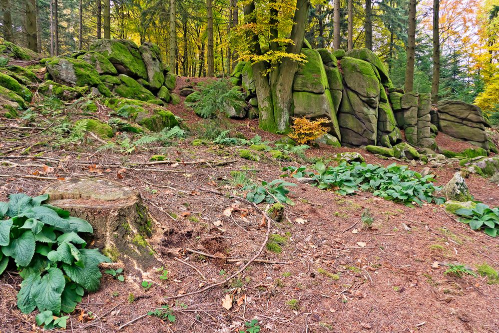 Der Wildeleutstein von Schuller Sorin 