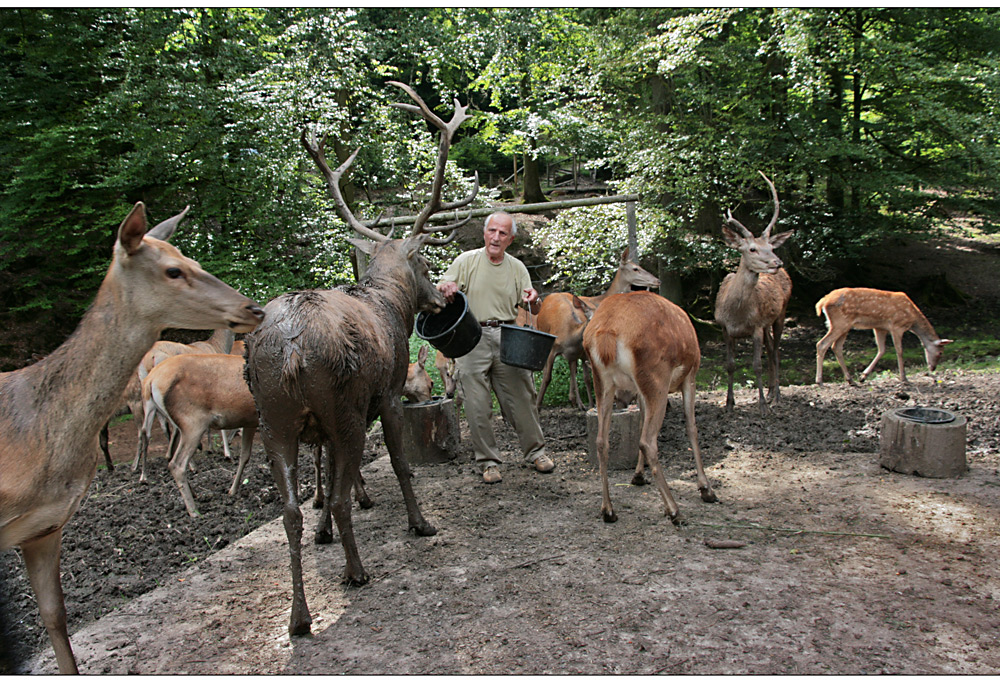 der wildhüter