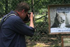 Der Wildlifefotograf