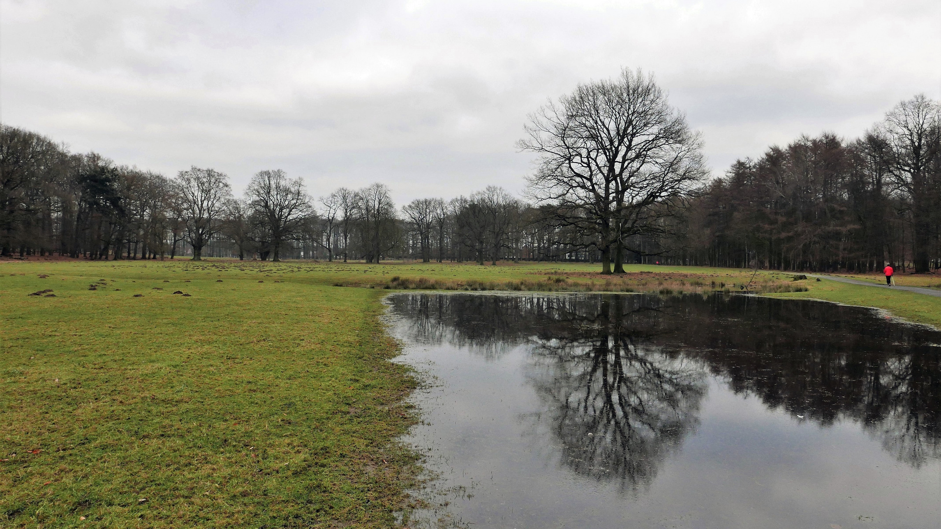 Der Wildpark in Dülmen.