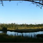 Der Wildsee am Abend...