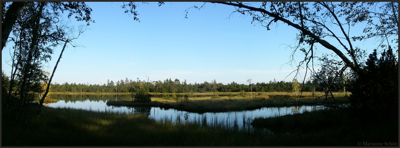 Der Wildsee am Abend...