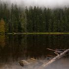 Der Wildsee im Hochschwarzwald