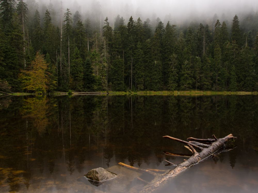 Der Wildsee im Hochschwarzwald