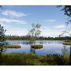 der Wildsee im Schwarzwald.......