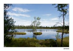 der Wildsee im Schwarzwald.......