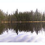 der wildsee in seiner ganzen schönheit