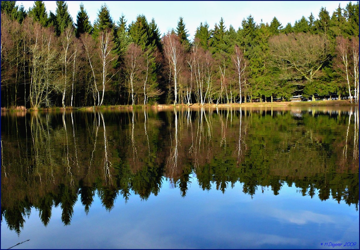 Der Wilnsdorfer Weiher....