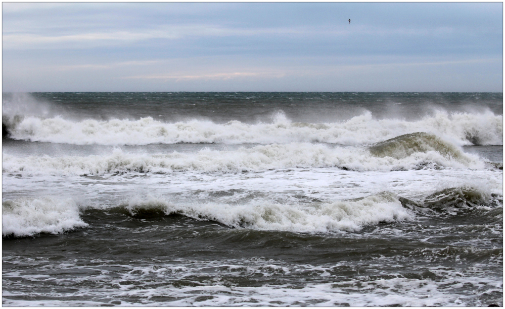 der Wind.....