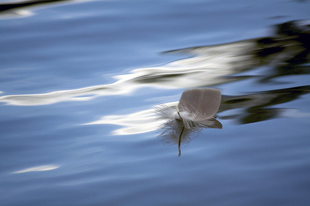 "Der Wind.........