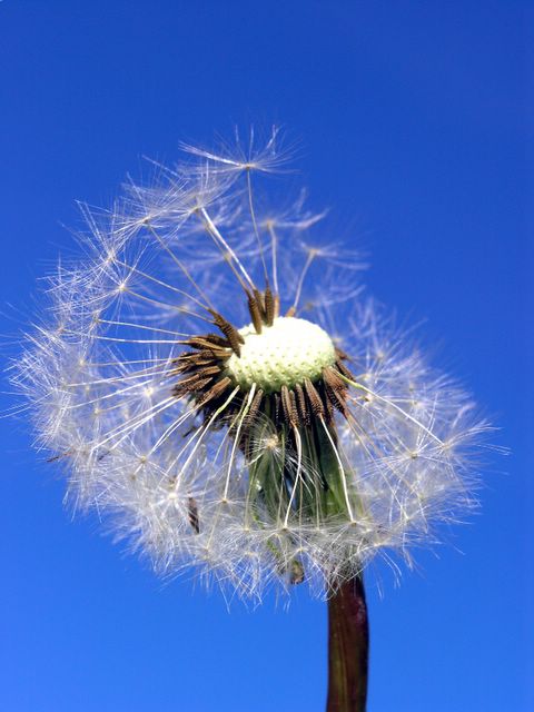 Der Wind...