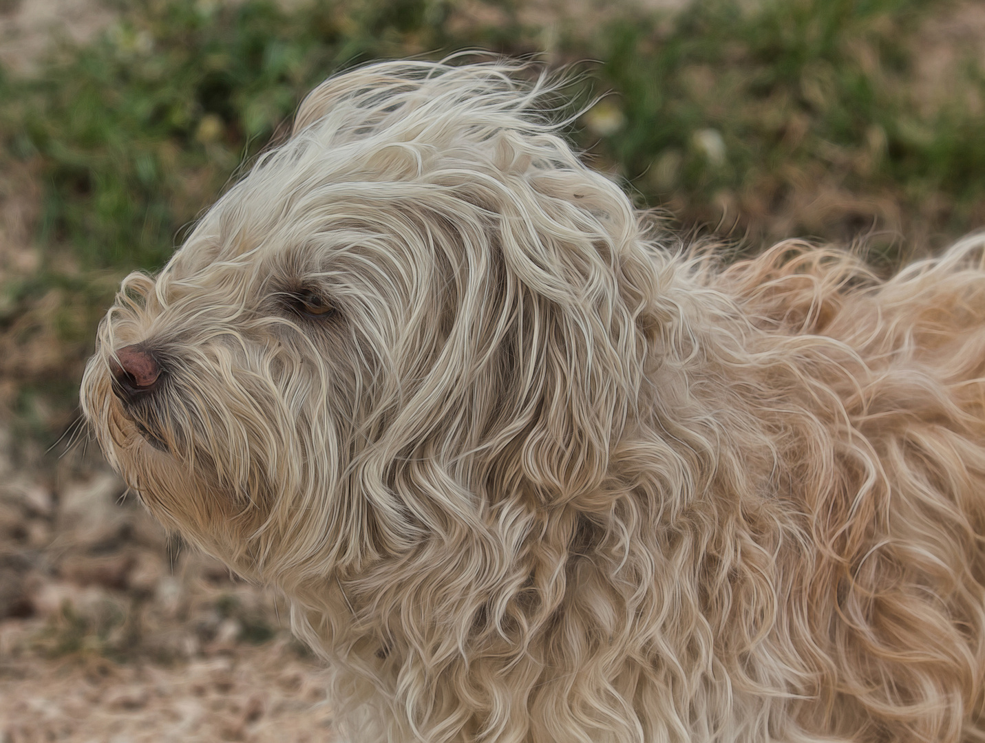 der Wind blaest mir die Locken glatt...