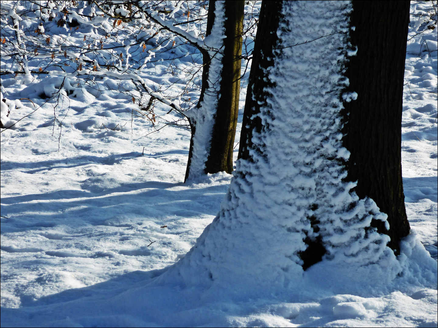 Der Wind ...