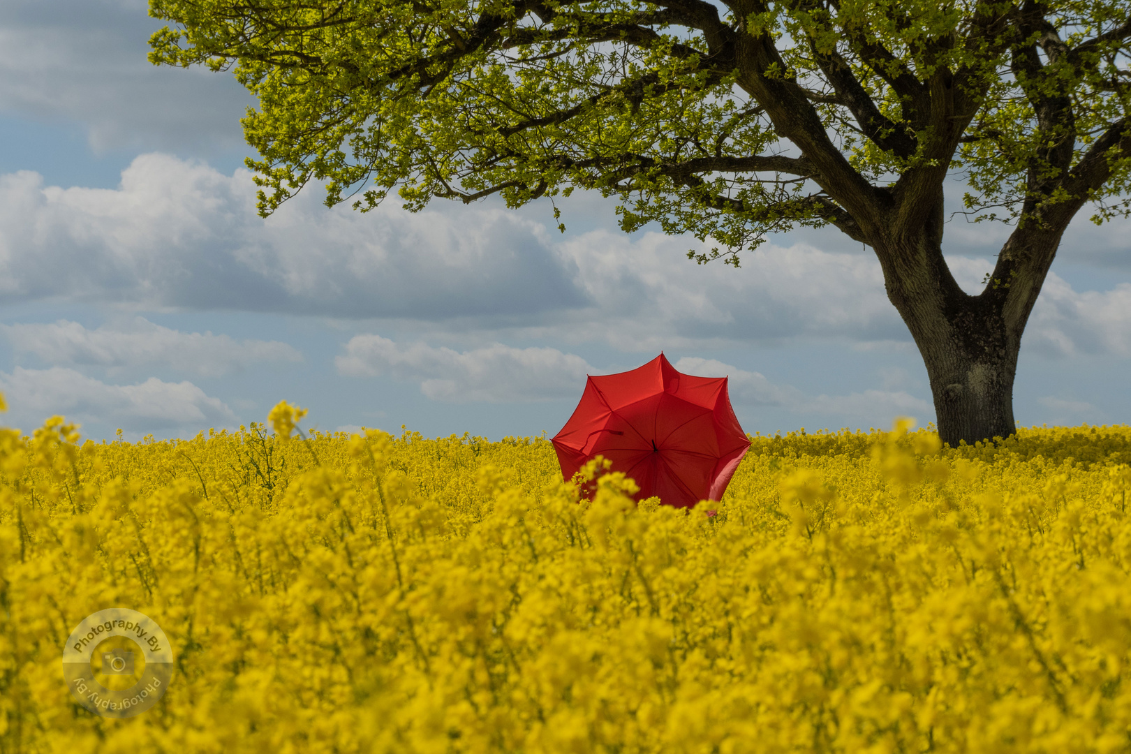 Der Wind, der Wind...