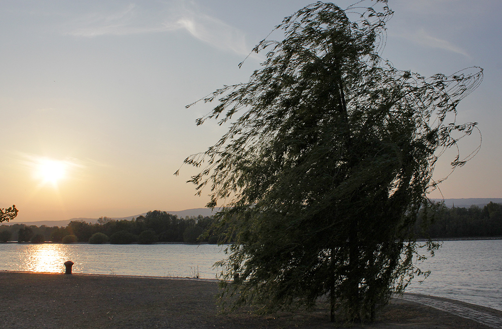 Der Wind, der Wind