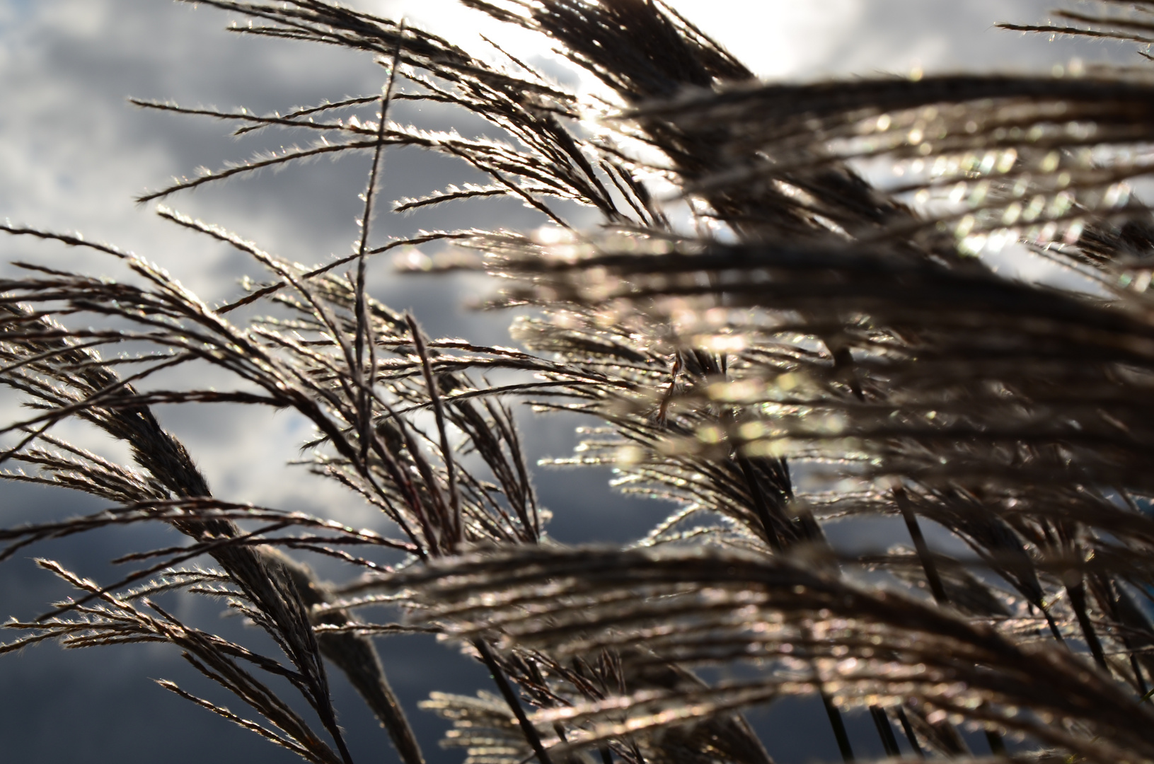 Der Wind, der Wind...