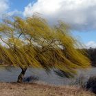 Der Wind, der Wind, das ..............