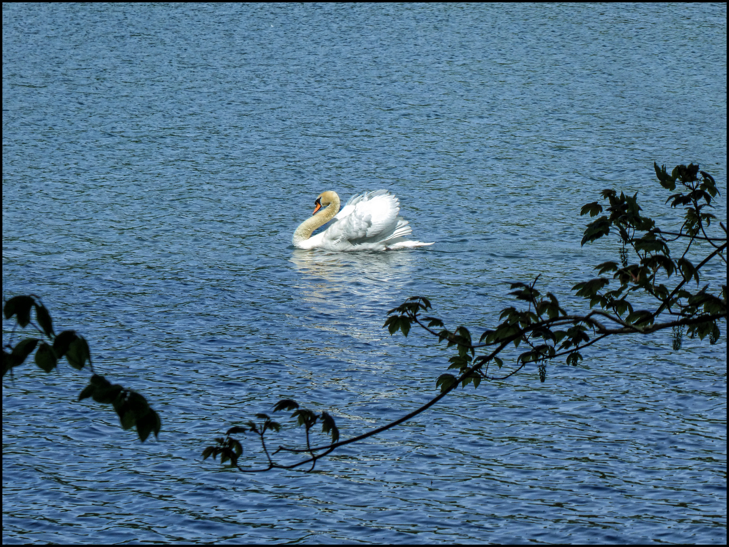 DER WIND DES ERSTEN SOMMERTAGS...