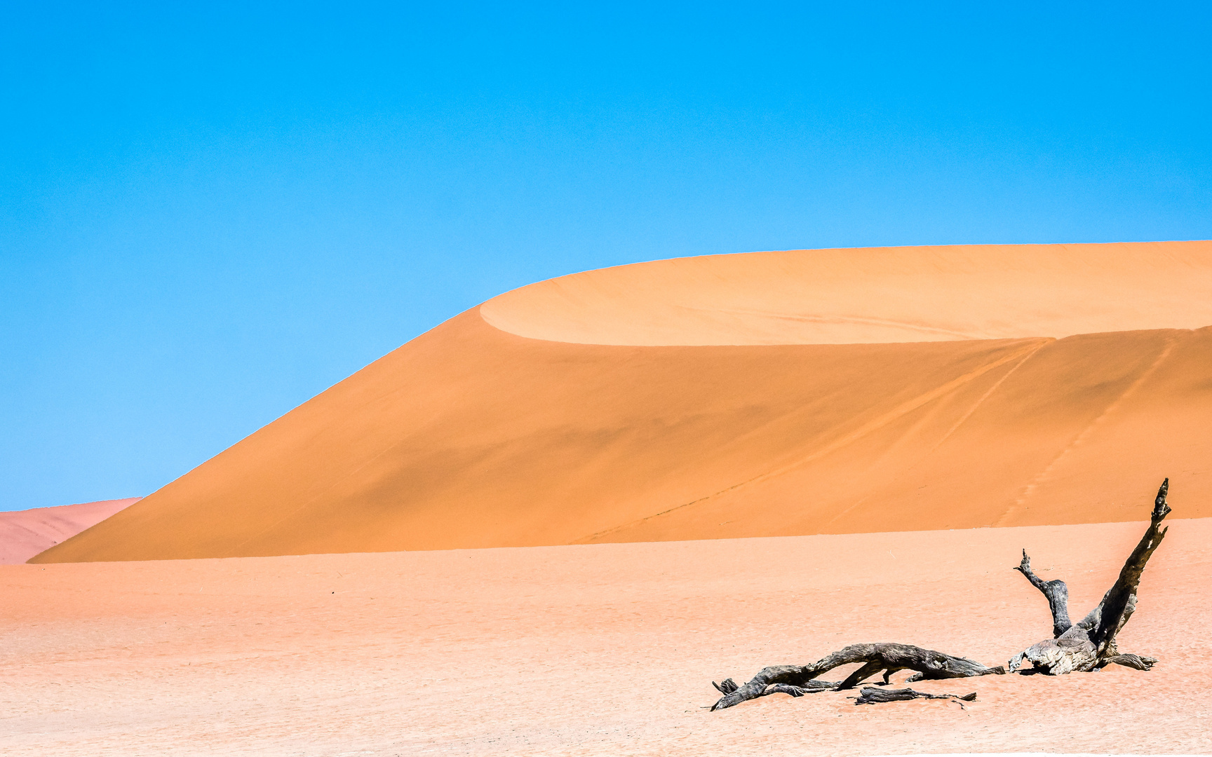 Der Wind formt die Sanddünen