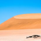 Der Wind formt die Sanddünen